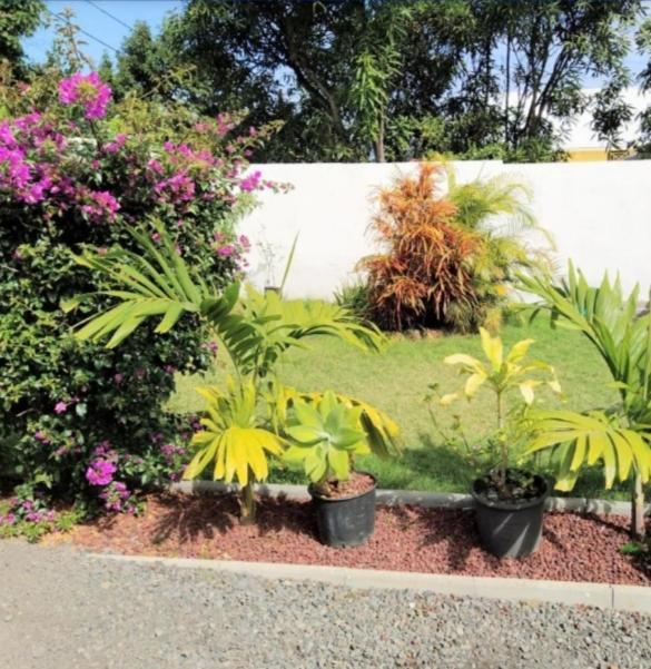 jolie maison st pierre , JACUZZI, jardin, Saint Pierre Extérieur photo